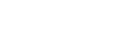 Whale Whale