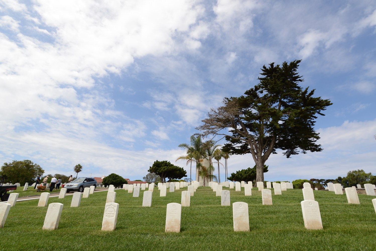 cemetery 