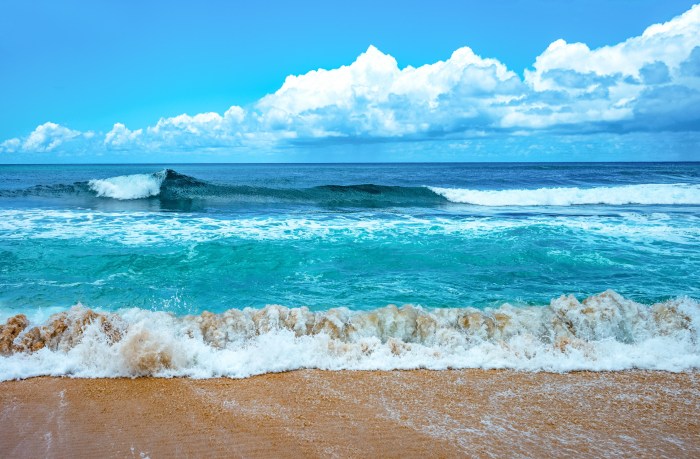 How Human Life Depends On Oceans Influence of Ocean On human Beings How Human Life Depends On Oceans Influence of Ocean On human Beings