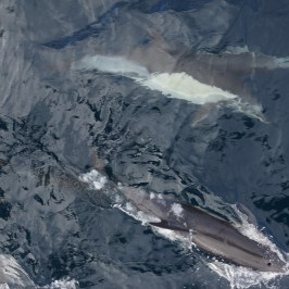 a snow covered mountain