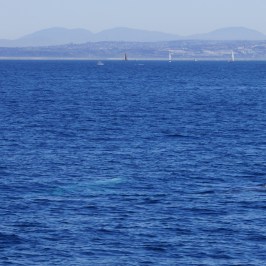an island in the middle of a body of water