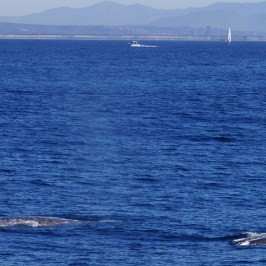 a large ship in a body of water