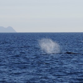 a large body of water next to the ocean