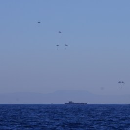 a bird flying over a body of water