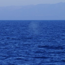 a large body of water next to the ocean