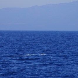 a large body of water