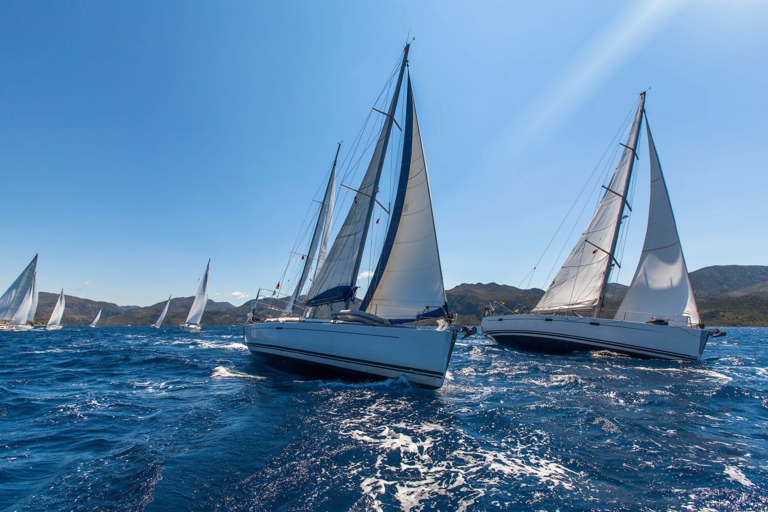 large group of sailboats sailing the ocean 