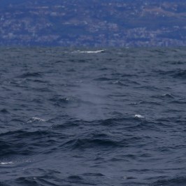 a large body of water