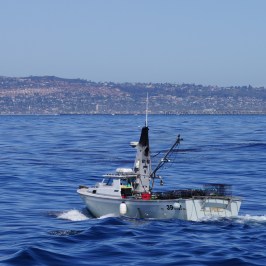 a small boat in a large body of water