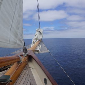 Yacht America San Diego