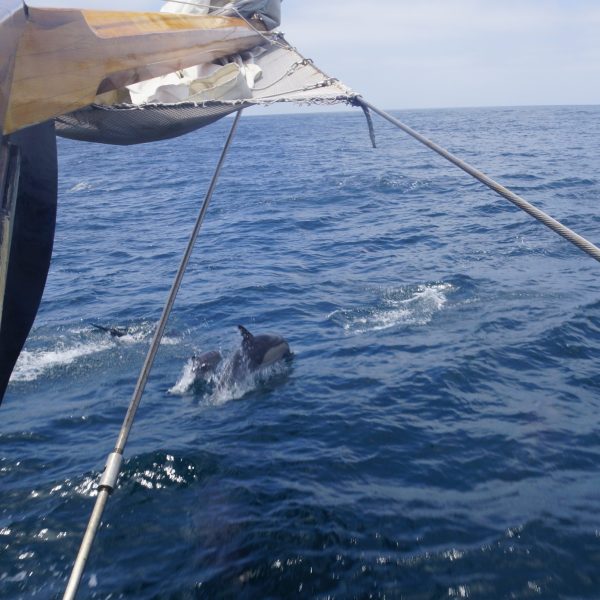 a small boat in a body of water