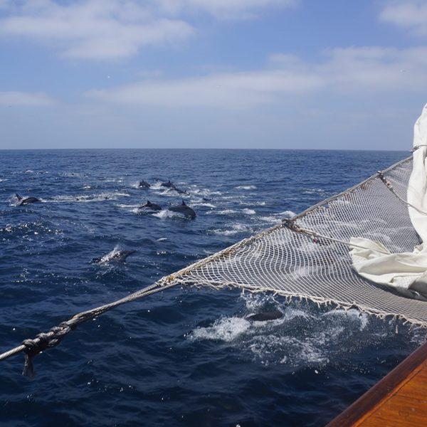 a large body of water