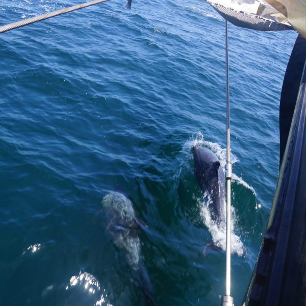 a person standing next to a body of water