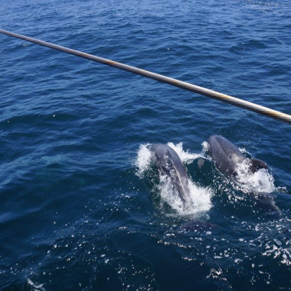 a small boat in a body of water