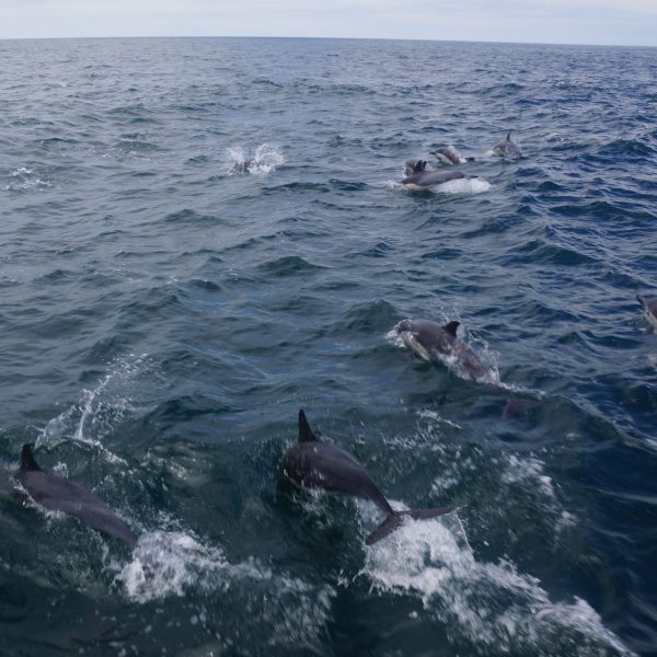 a man riding a wave on a surfboard in the water