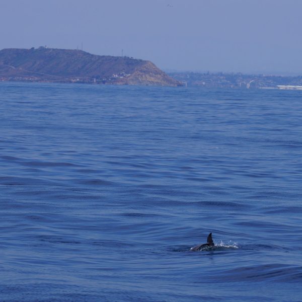 a man riding a wave on top of a body of water