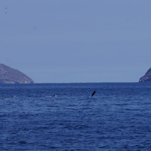 a large body of water with a mountain in the background