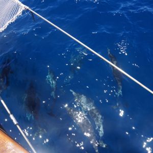 a close up of some water