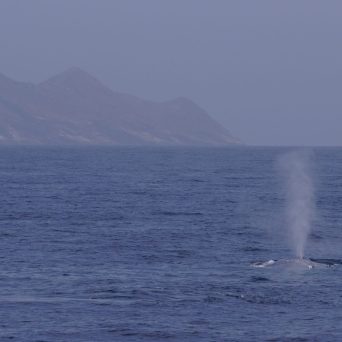 a large body of water with a mountain in the background