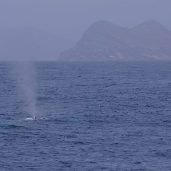 a large body of water with a mountain in the background