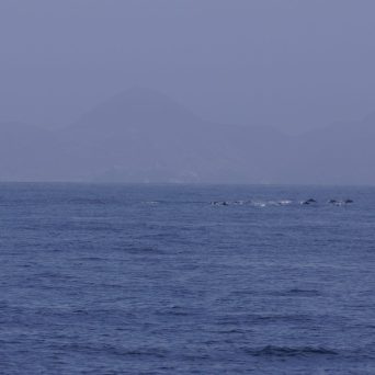 a large body of water