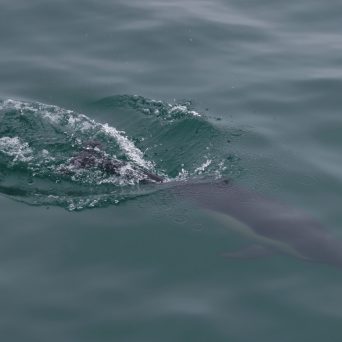 a person riding a wave on a surfboard in the water