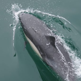 a person riding a wave on a surfboard in the water