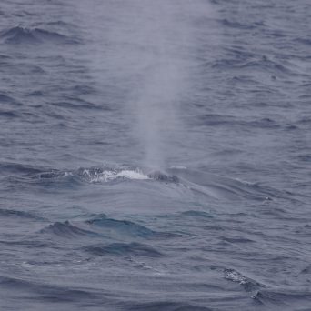 a man riding a wave on top of a body of water