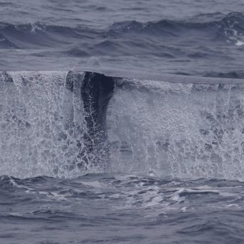 a man riding a wave in the ocean
