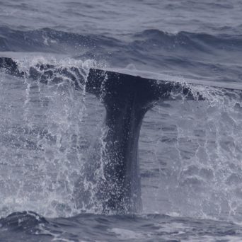a man riding a wave on top of a body of water