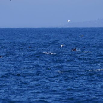 a large body of water