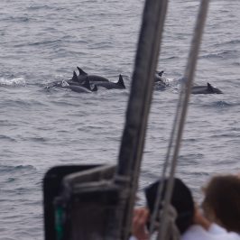 a group of people standing next to a body of water