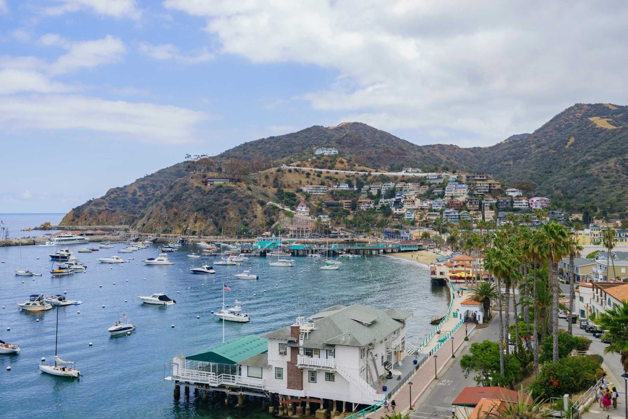 Catalina Island Guide How To Sail There & Activities On The Island(01)