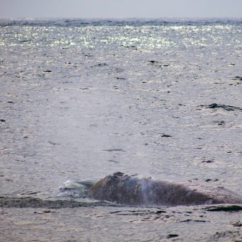 a beach next to a body of water