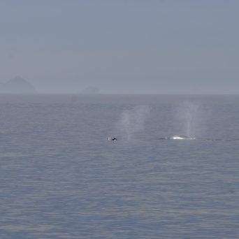 a large body of water