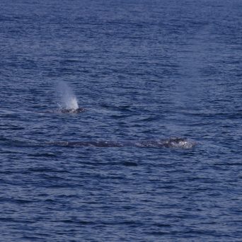 a large body of water