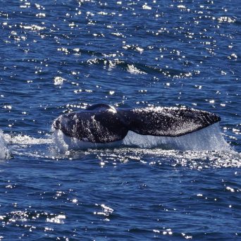 a small boat in a body of water