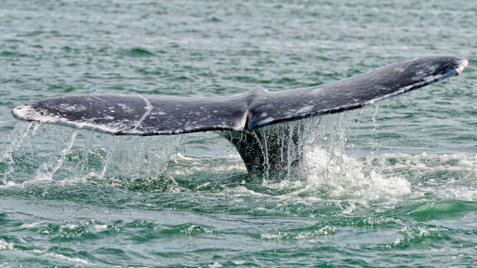 a man riding a wave on top of a body of water