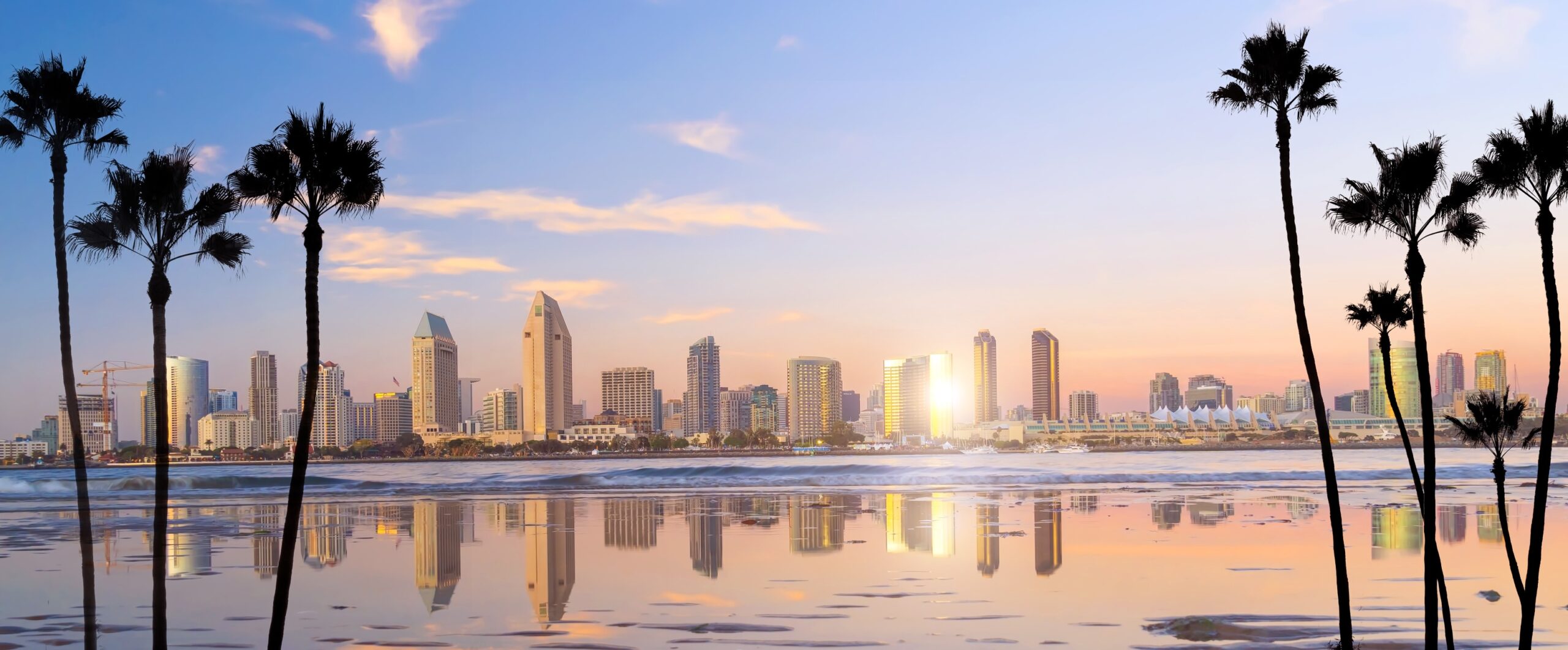 san diego skyline with palm trees