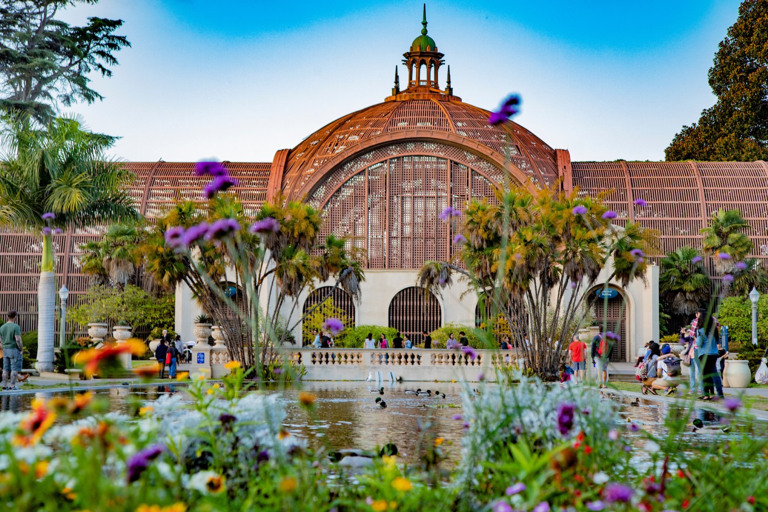 a colorful flower garden