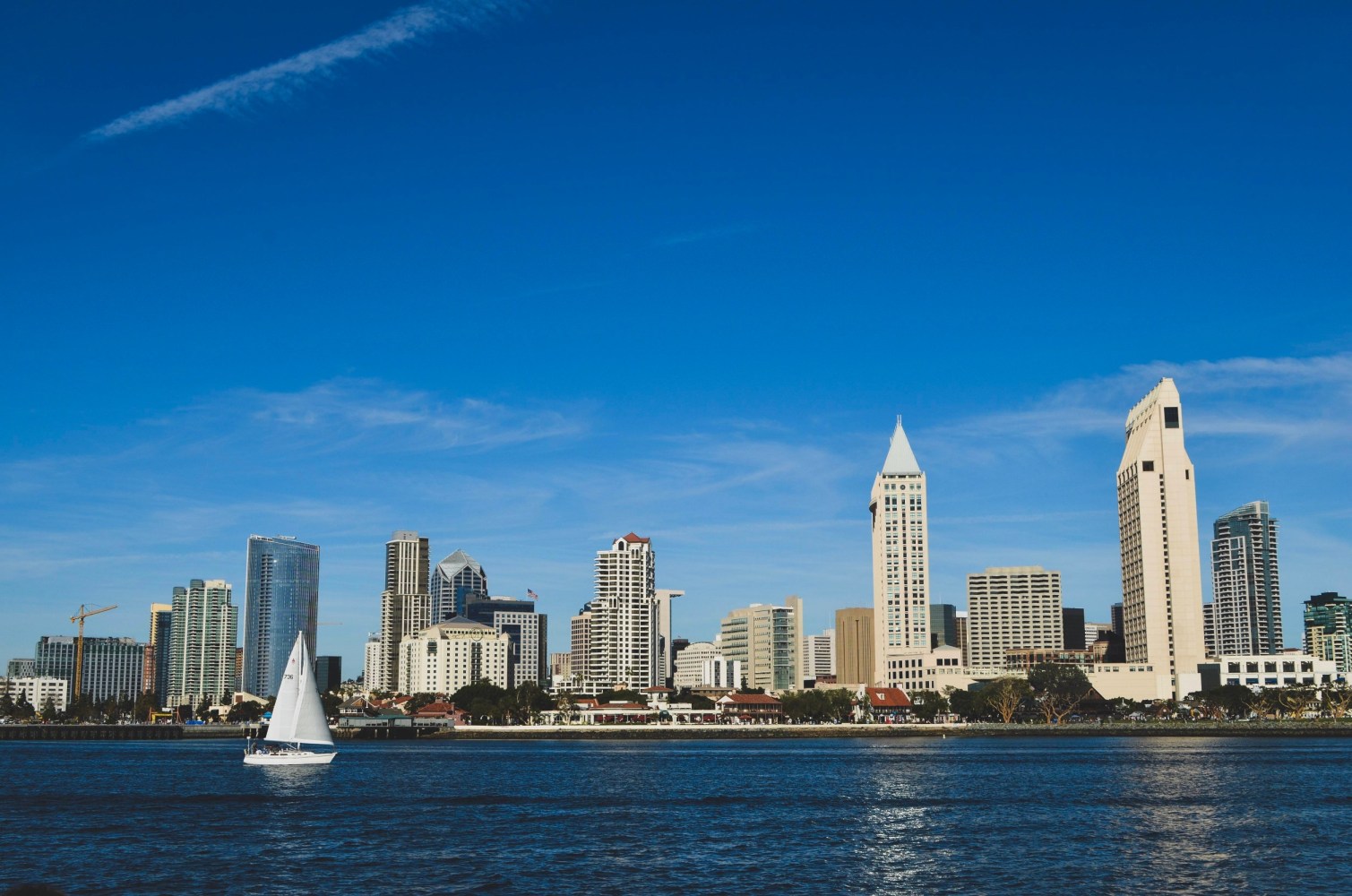 san diego city skyline on the water
