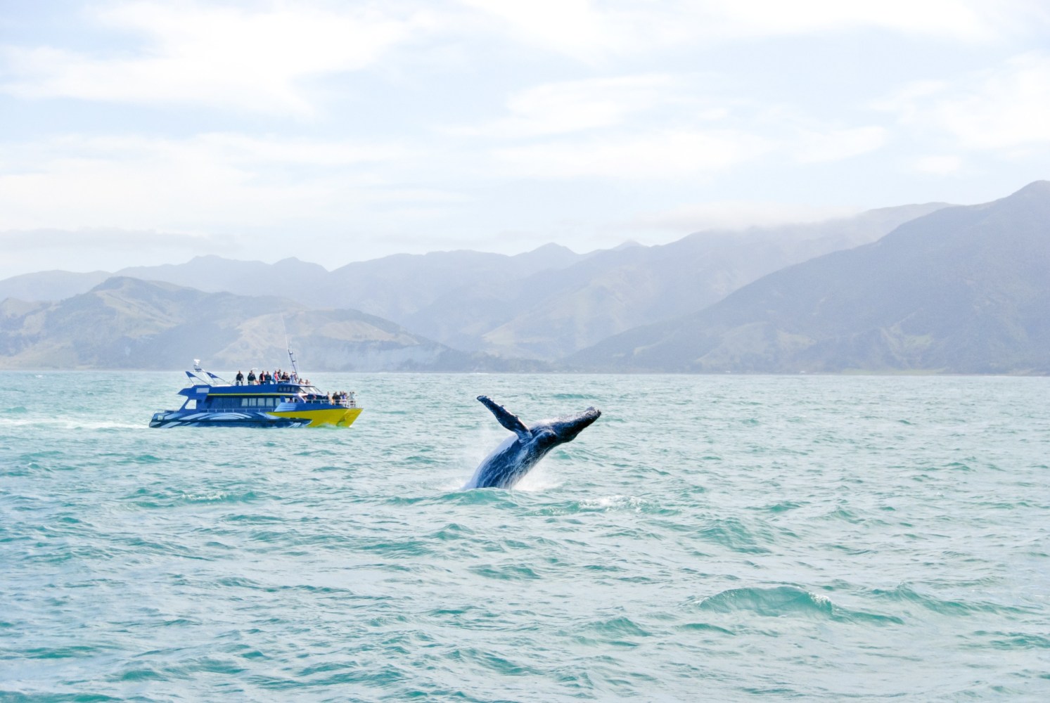 a small boat in a body of water with a mountain in the background
