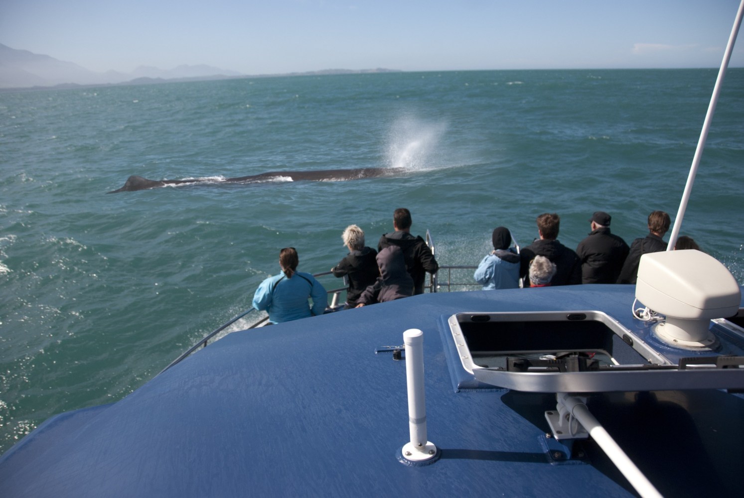 a group of people on a boat in the water