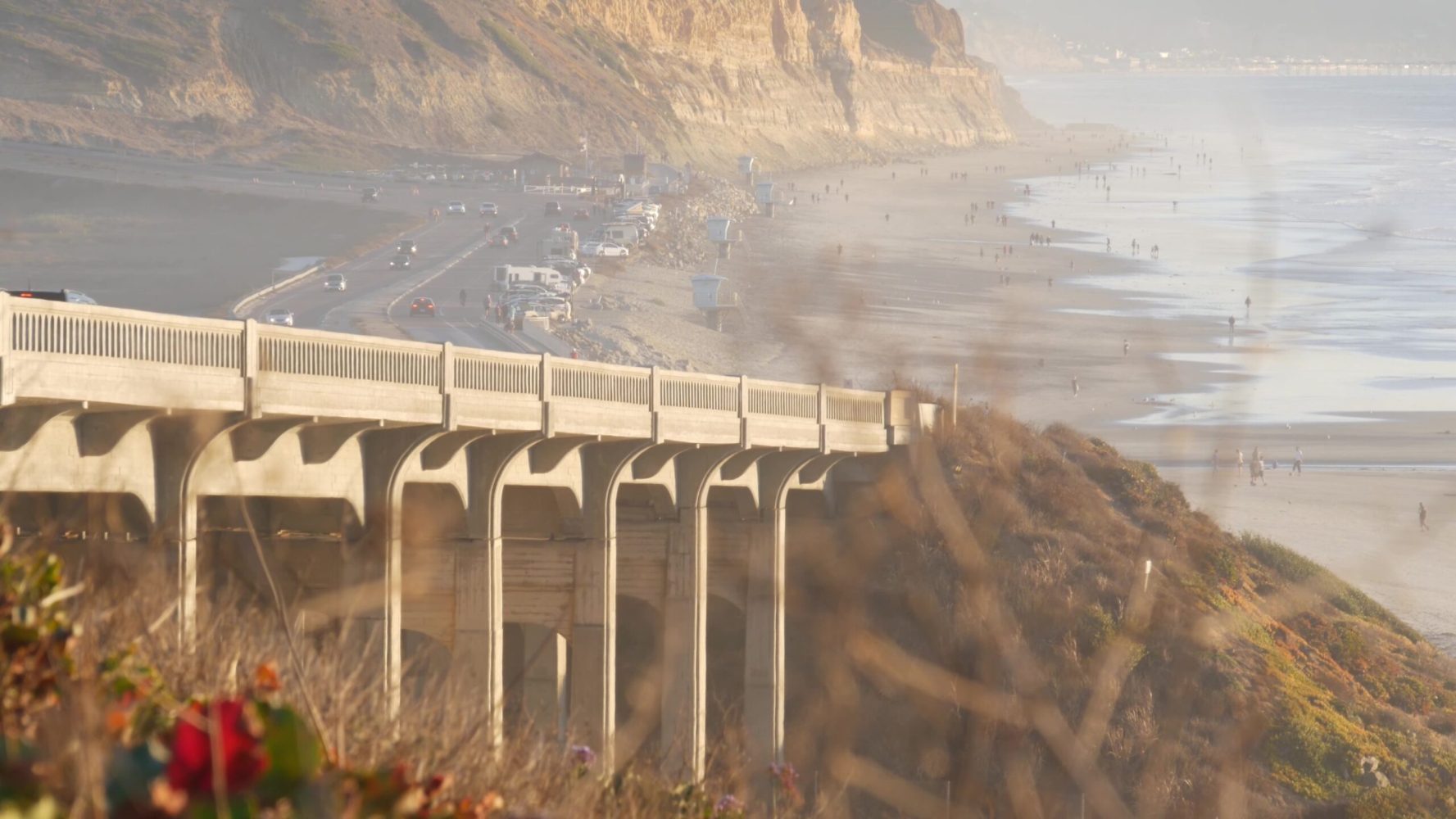 torrey pines san diego 