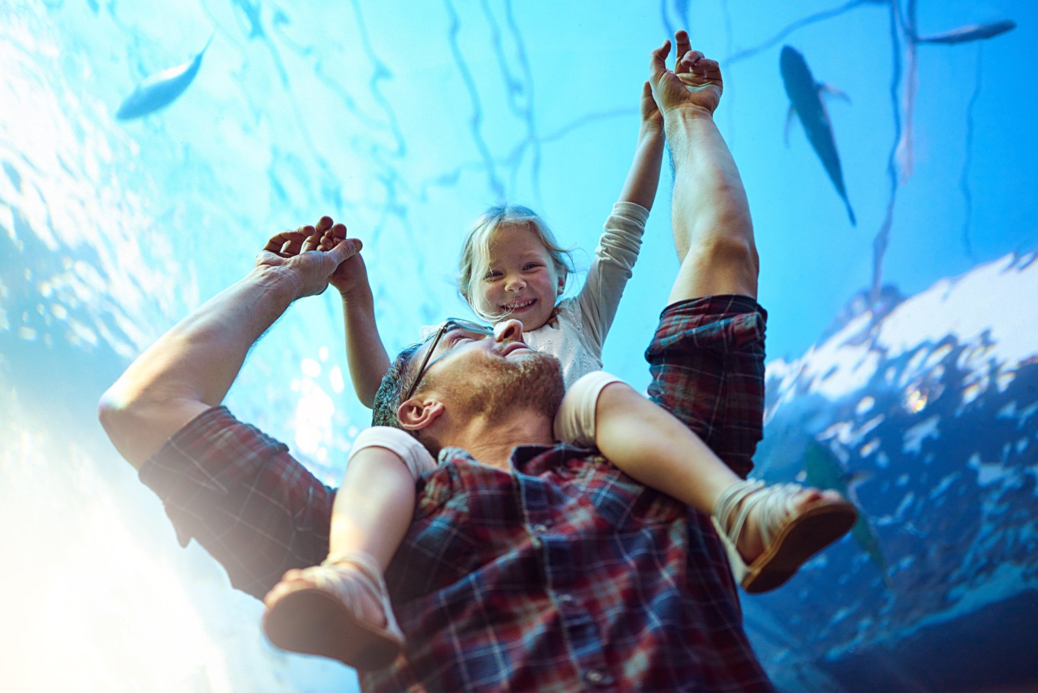san diego aquarium 