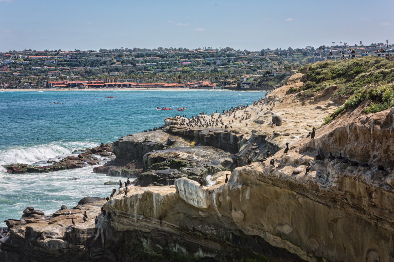 a rocky cliffside next to the ocean