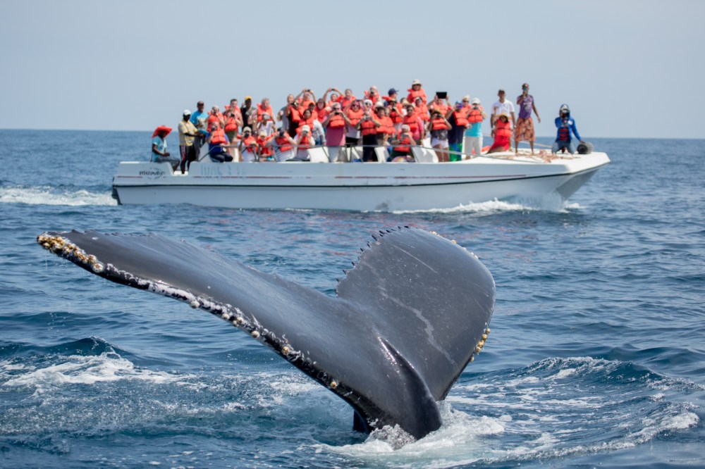 a group of people riding on the back of a boat in the water