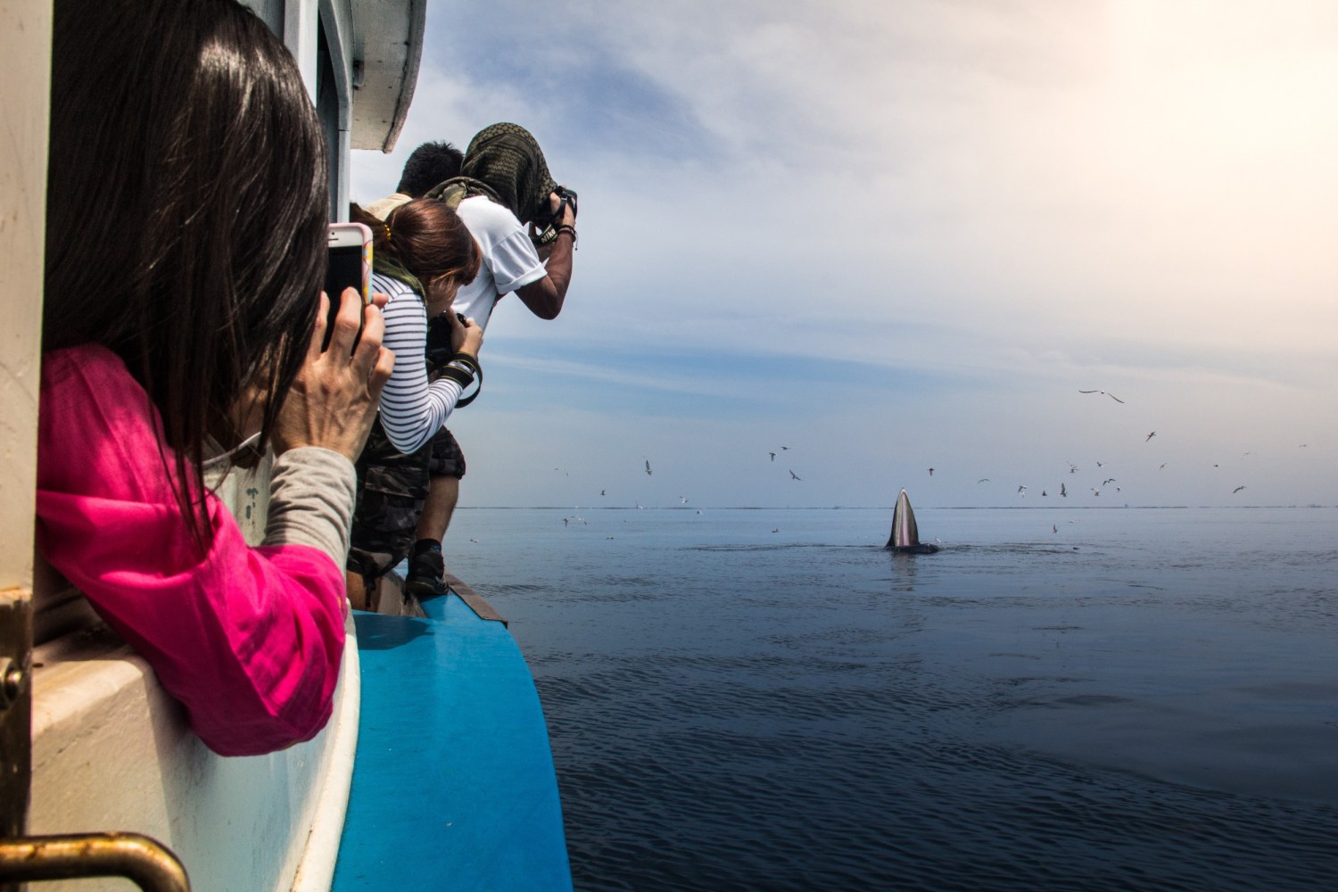 people on whale watching tour
