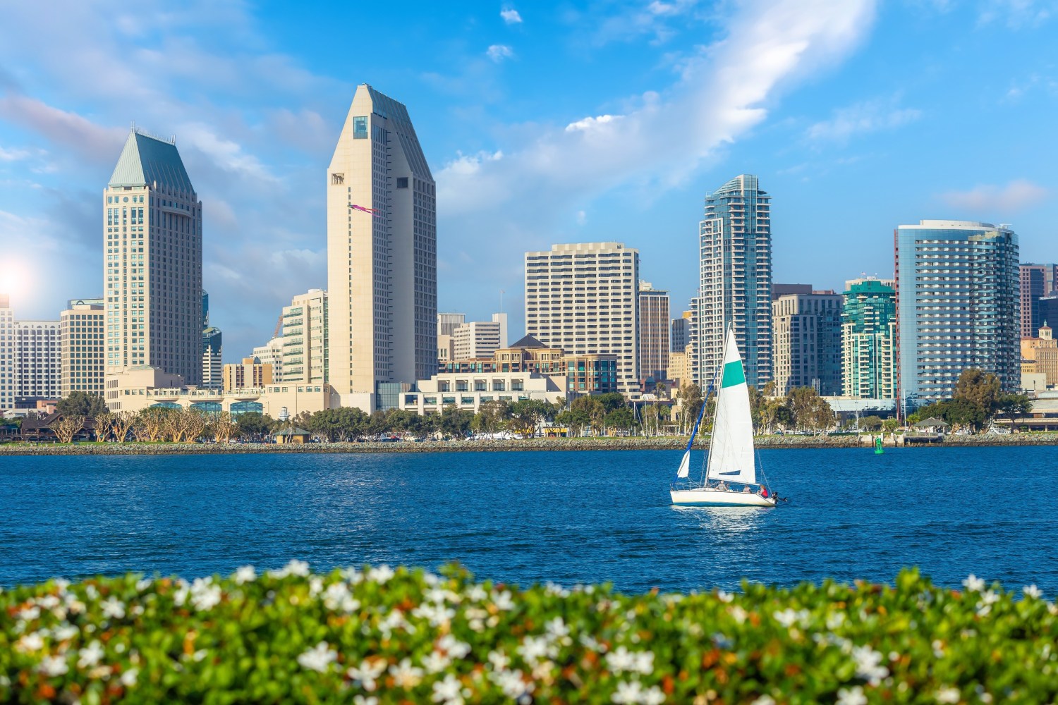 a large body of water with a sailboat and San Diego city skyline in the background