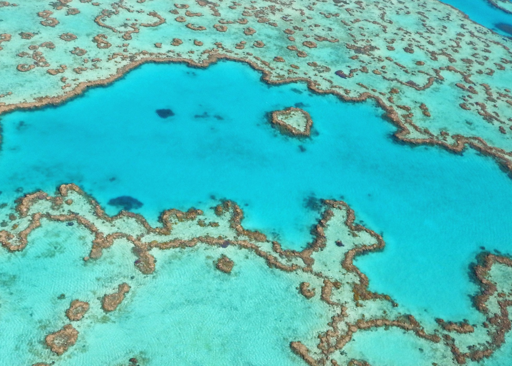 「Interesting」に関連した英語例文の一覧と使い方 - Weblio英語例文検索 visual data 5